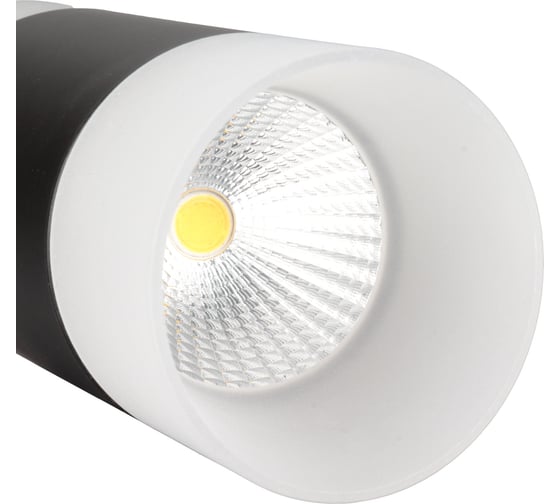 Накладной потолочный светильник Ritter RCS-65LED10W-WH ф65, COB 7W+3W, 4000K, черный/матовое, 52064 1