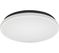 Потолочный светильник Ritter STARDUST_LED, 12Вт, ф190мм, 4000К, 52184 6
