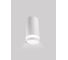 Cветильник накладной SAPFIRE WORLD SPF- WHITE/БЕЛЫЙ 4323 1