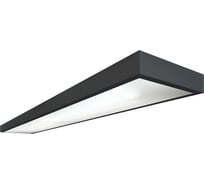Офисный светильник Технологии света TL-Office 30 L1200 OPL IP54 940 RAL 7024 матовый УТ000017470