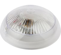 Светильник ЭРА Сириус НБП 0660101 с фотошумовым датчиком, Б0048411