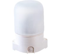 Светильник для бани ЭРА НББ 0160001 пластик/стекло, прямой, IP65, E27 Б0048030