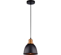 Подвесной светильник Arte Lamp EURICA A4245SP-1BK