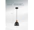 Подвесной светильник Arte Lamp EURICA A4245SP-1BK 3