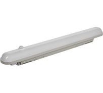 Светильник IEK ДСП 1305Д, 18вт, 6500К, IP65, 600мм, серый, пластик LDSP2-1305D-18-6500-K03