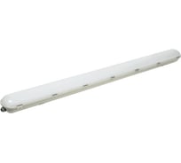 Светильник IEK ДСП 1423, 50вт, 6500К, IP65, 1500мм LDSP0-1423-50-6500-K01