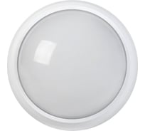 Светильник IEK LED ДПО 5010 8вт, 4000K, IP65, круг, белый LDPO0-5010-08-4000-K01