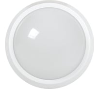 Светильник IEK ДПО 5012Д, LED, 8вт, 4000K, IP65, круг, белый, с датчиком движения LDPO1-5012D-08-4000-K01