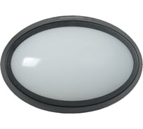 Светильник IEK LED ДПО 5041, 12вт, 4000K, IP65, овал черный LDPO0-5041-12-4000-K02