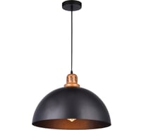 Подвесной светильник Arte Lamp EURICA A4249SP-1BK
