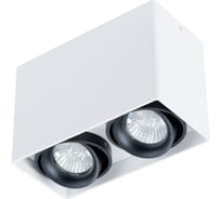 Потолочный светильник Arte Lamp PICTOR A5655PL-2WH