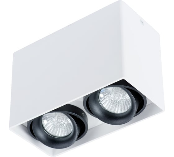 Потолочный светильник Arte Lamp PICTOR A5655PL-2WH 1