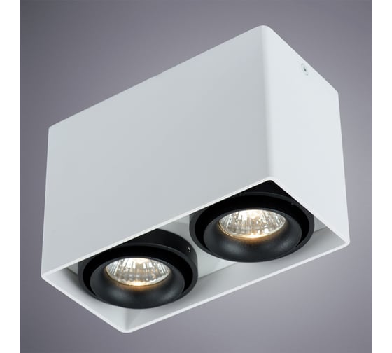 Потолочный светильник Arte Lamp PICTOR A5655PL-2WH