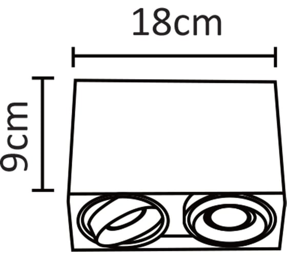 Потолочный светильник Arte Lamp PICTOR A5655PL-2WH
