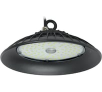 Светильник IEK ДСП 3006 PRO, 100вт, 120 градусов, 6500К, IP65, алюминий LDSP0-3006-100-120-K23