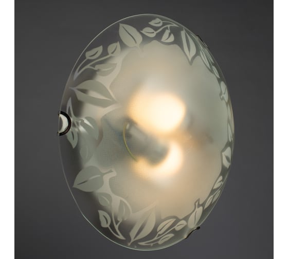 Потолочный светильник Arte Lamp LEAVES A4020PL-2CC