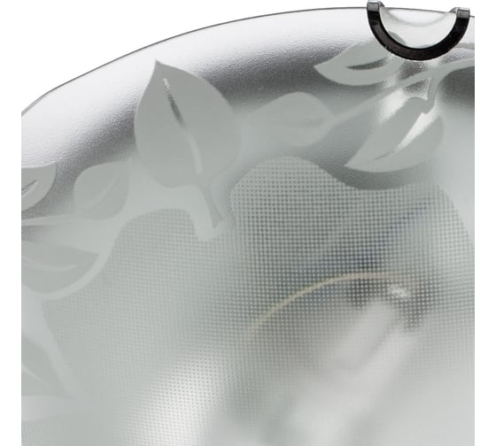 Потолочный светильник Arte Lamp LEAVES A4020PL-2CC