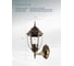 Уличный светильник Arte Lamp PEGASUS A3151AL-1BN 3