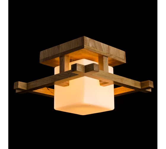 Потолочный светильник Arte Lamp WOODS A8252PL-1BR