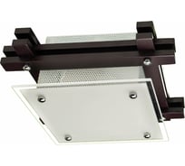 Потолочный светильник Arte Lamp ARCHIMEDE A6462PL-1CK