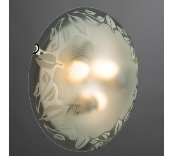 Потолочный светильник Arte Lamp LEAVES A4020PL-3CC