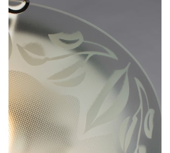Потолочный светильник Arte Lamp LEAVES A4020PL-3CC