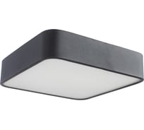 Потолочный светильник Arte Lamp COSMOPOLITAN A7210PL-2BK