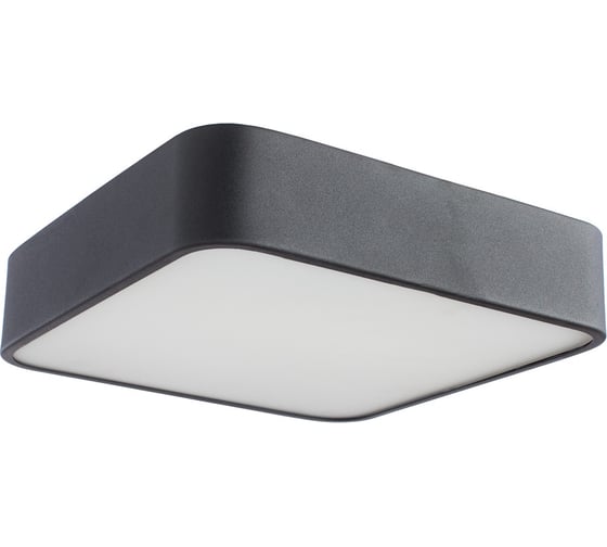Потолочный светильник Arte Lamp COSMOPOLITAN A7210PL-2BK 1
