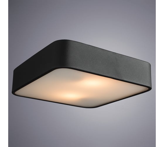 Потолочный светильник Arte Lamp COSMOPOLITAN A7210PL-2BK