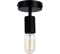 Потолочный светильник Arte Lamp FUORI A9184PL-1BK