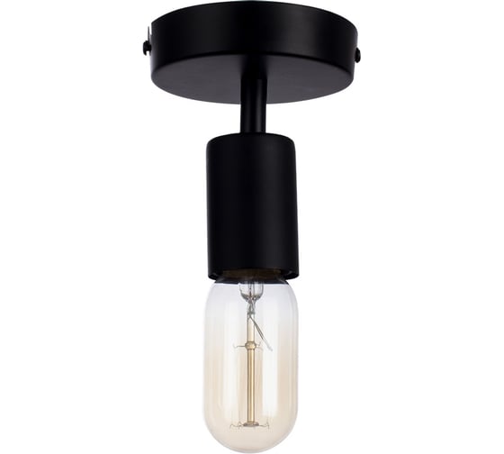 Потолочный светильник Arte Lamp FUORI A9184PL-1BK 1