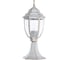 Уличный светильник Arte Lamp PEGASUS A3151FN-1WG 1