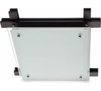 Потолочный светильник Arte Lamp ARCHIMEDE A6462PL-3CK