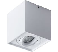 Потолочный светильник Arte Lamp FACTOR A5544PL-1WH