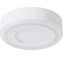 Потолочный светильник Arte Lamp ANTARES A7806PL-2WH