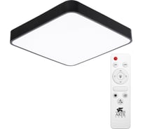 Потолочный светильник Arte Lamp SCENA A2663PL-1BK