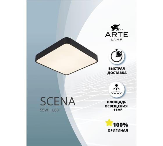 Потолочный светильник Arte Lamp SCENA A2663PL-1BK