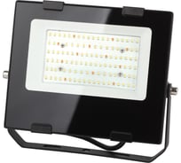 Прожектор ЭРА FITO50WRa90LED, для цветения и плодоношения, 10/300 Б0047875 16452661