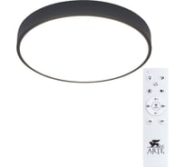 Потолочный светильник Arte Lamp ARENA A2661PL-1BK