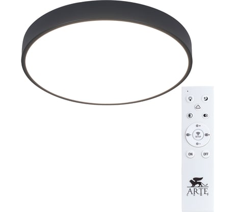 Потолочный светильник Arte Lamp ARENA A2661PL-1BK