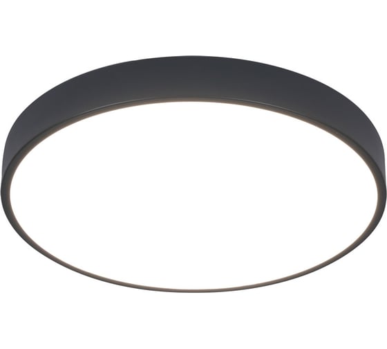 Потолочный светильник Arte Lamp ARENA A2661PL-1BK