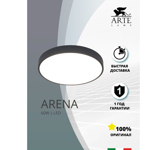 Потолочный светильник Arte Lamp ARENA A2661PL-1BK