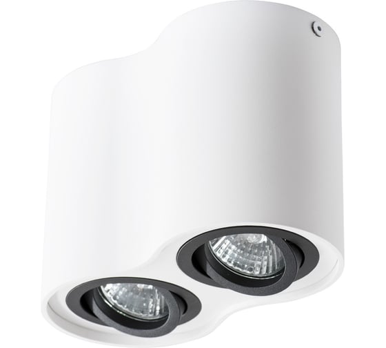 Потолочный светильник Arte Lamp FALCON A5644PL-2WH 1