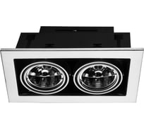 Встраиваемый светильник Arte Lamp CARDANI MEDIO A5930PL-2SI