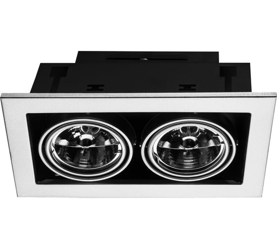 Встраиваемый светильник Arte Lamp CARDANI MEDIO A5930PL-2SI 1