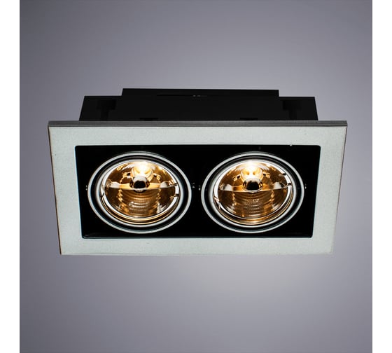 Встраиваемый светильник Arte Lamp CARDANI MEDIO A5930PL-2SI