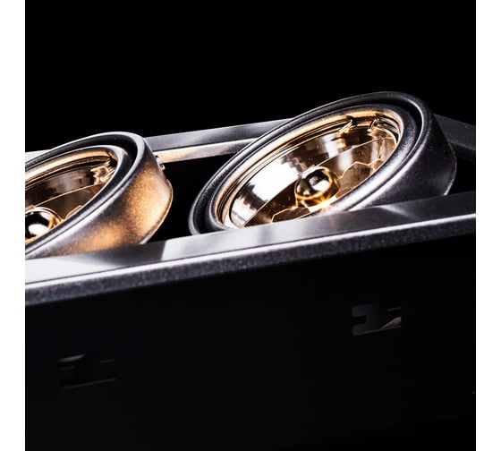 Встраиваемый светильник Arte Lamp CARDANI MEDIO A5930PL-2SI