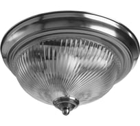 Потолочный светильник Arte Lamp AQUA A9370PL-2SS