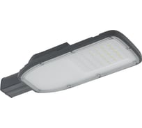 Консольный светодиодный светильник IEK LED ДКУ, 1002-50Ш, 5000К, IP65, серый LDKU1-1002-050-5000-K03