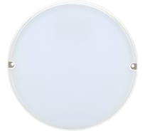 Светильник IEK, LED ДПО 2003, 14вт, 4000K, IP54, белый круг LDPO0-2003-14-4000-K01